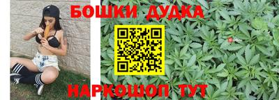 прущий лед Гай