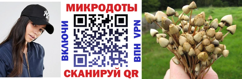 Псилоцибиновые грибы GOLDEN TEACHER  Дзержинск 