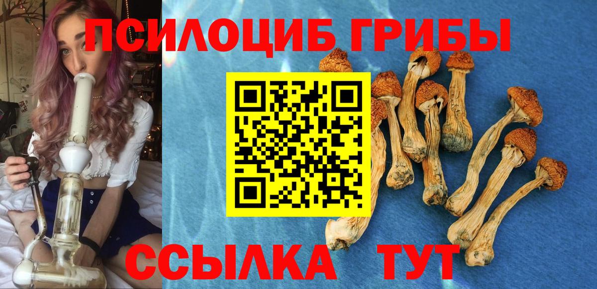 Псилоцибиновые грибы Psilocybe Дзержинск