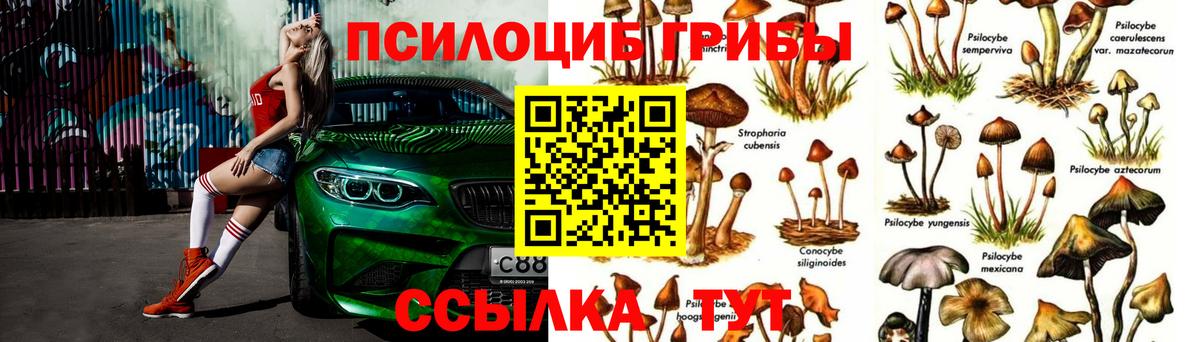 Галлюциногенные грибы GOLDEN TEACHER Дзержинск