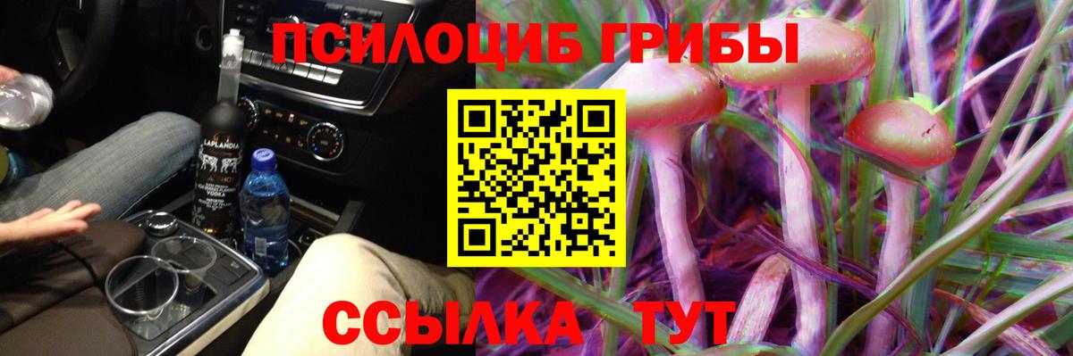 Галлюциногенные грибы мицелий  Дзержинск 