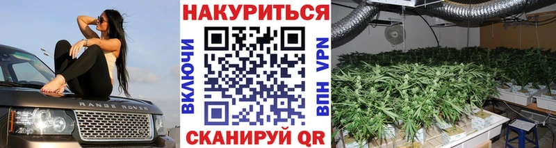 Шишки марихуана планчик  наркота  Дзержинск 